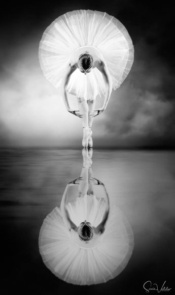 Sonia Valdes Photography